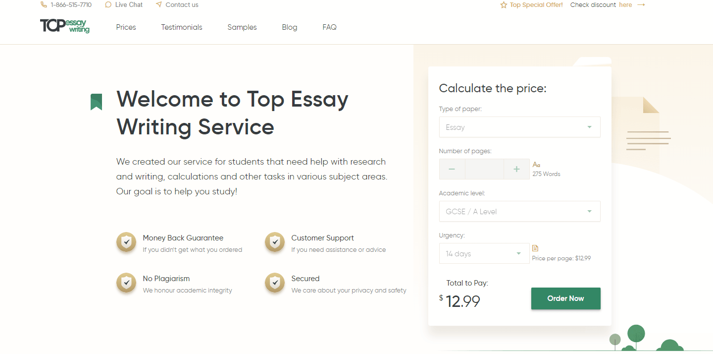 topessaywriting.org overview