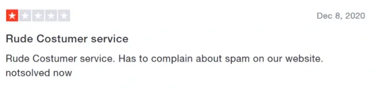 WiseEssays logo variation