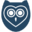 PapersOwl icon